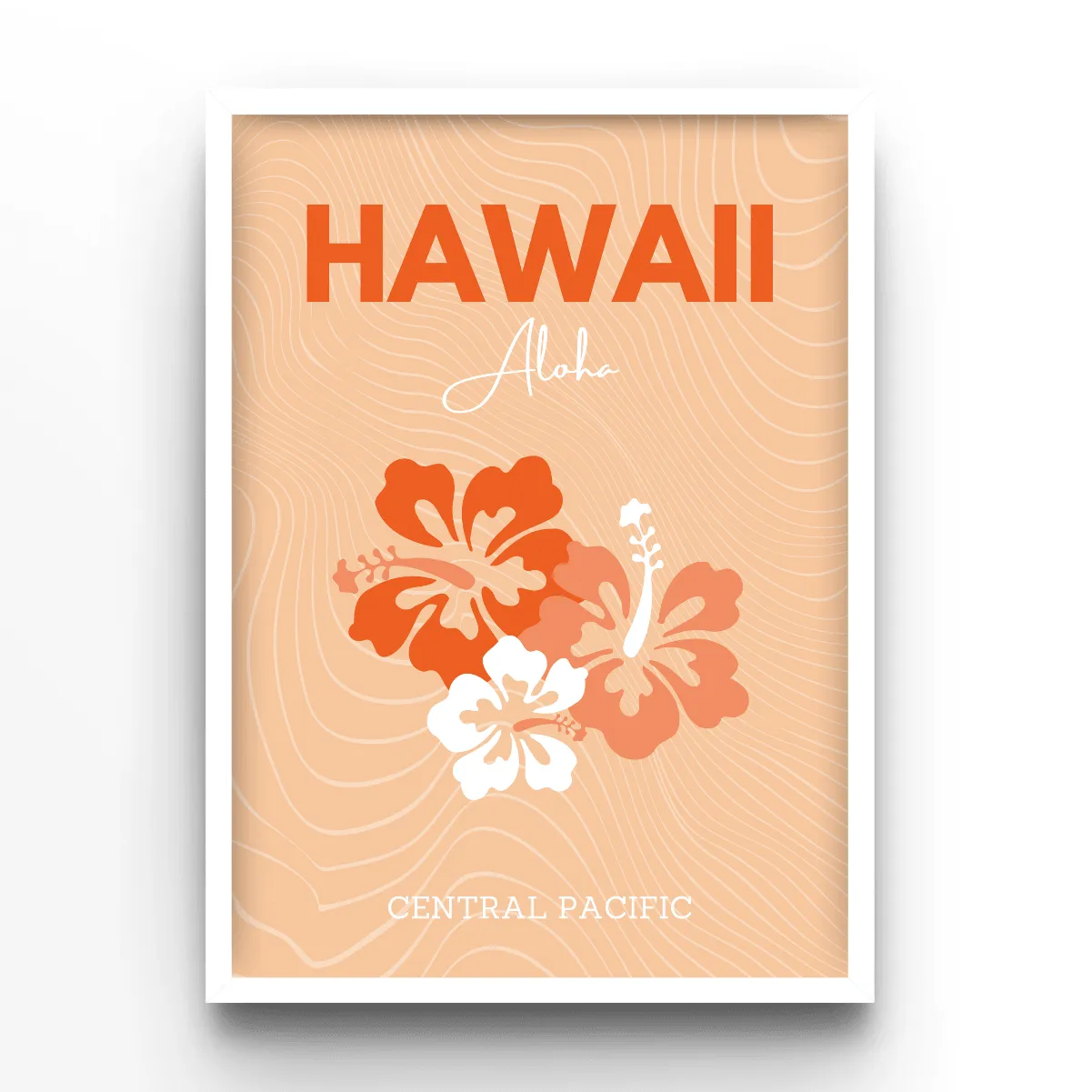 Hawaii poster