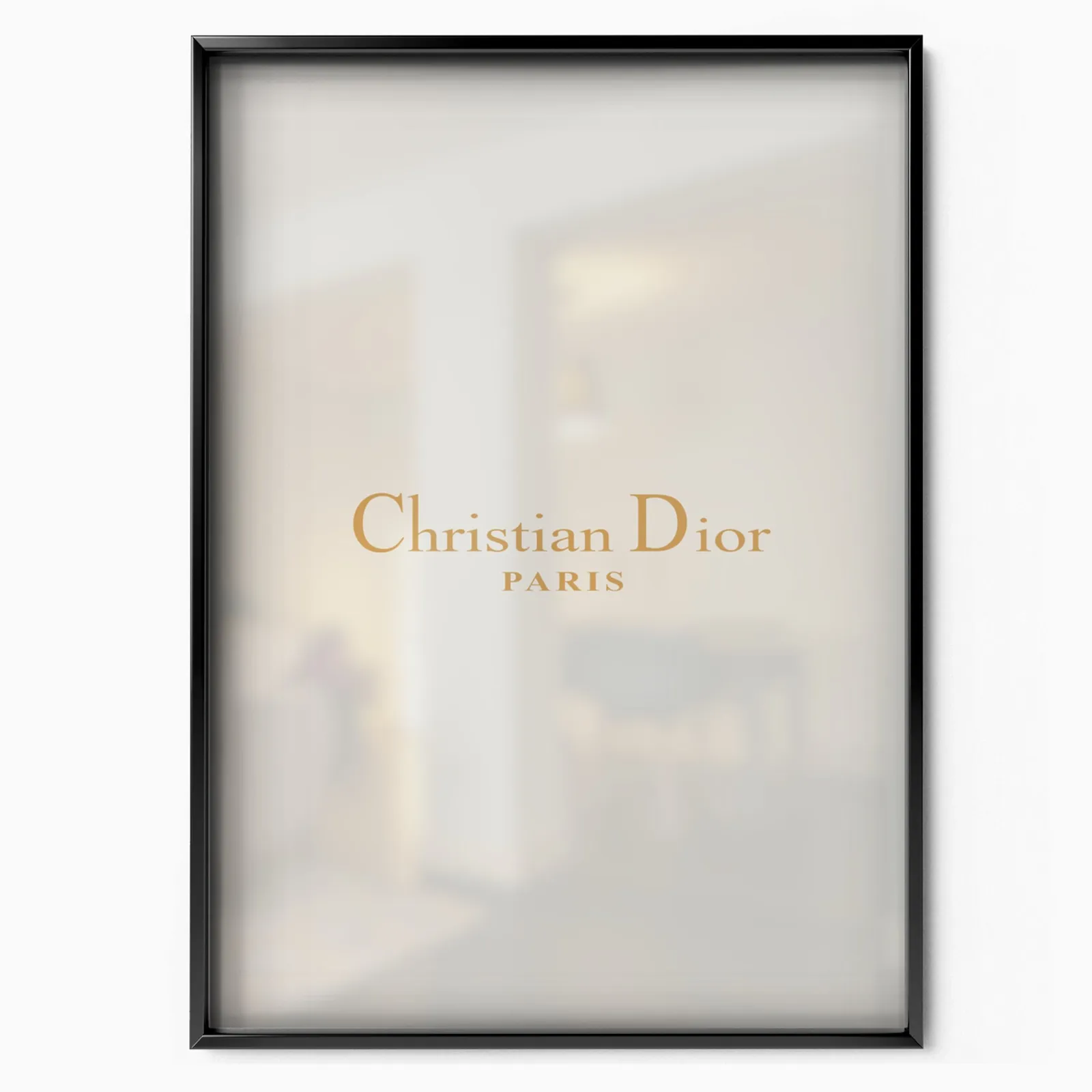 Christian Dior Logo poster