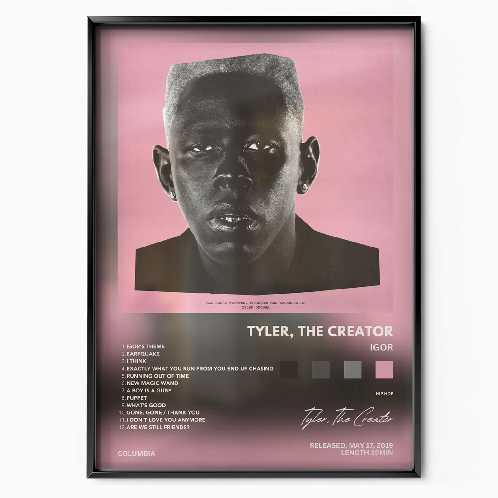 Tyler il creatore poster, museum grade matte print