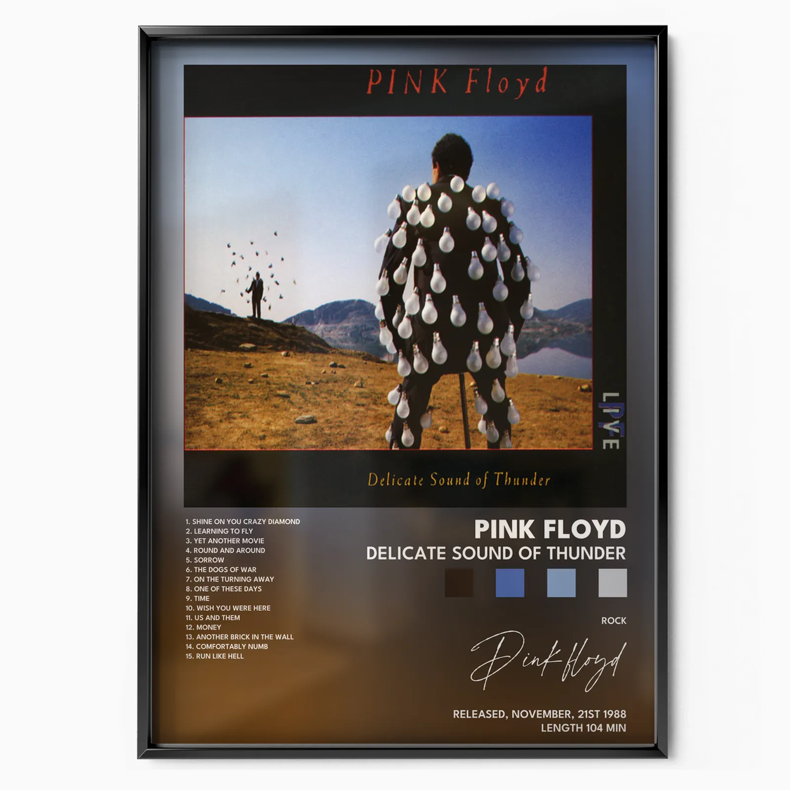 pink floyd Delicate Sound Of Thunder poster poster, museum grade matte print