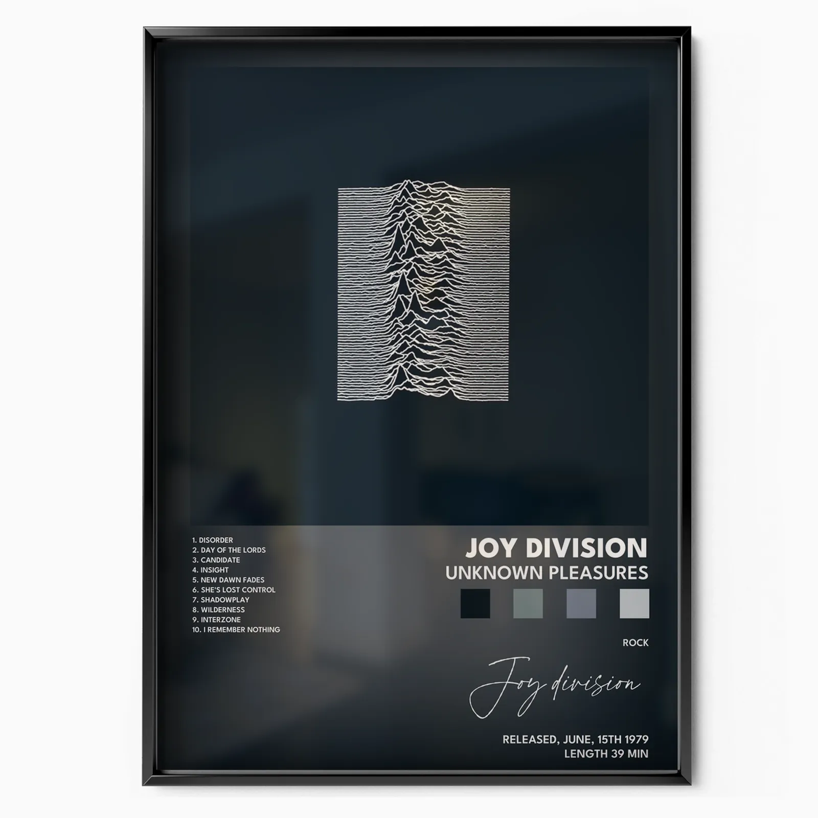 Unknown Pleasures poster