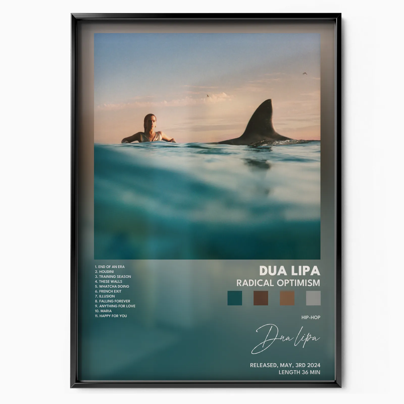 Radical Optimism poster