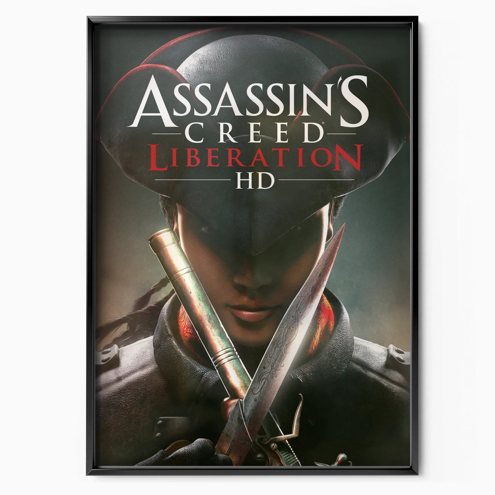Assassin's Creed Liberation Hd (2014) poster, museum grade matte print