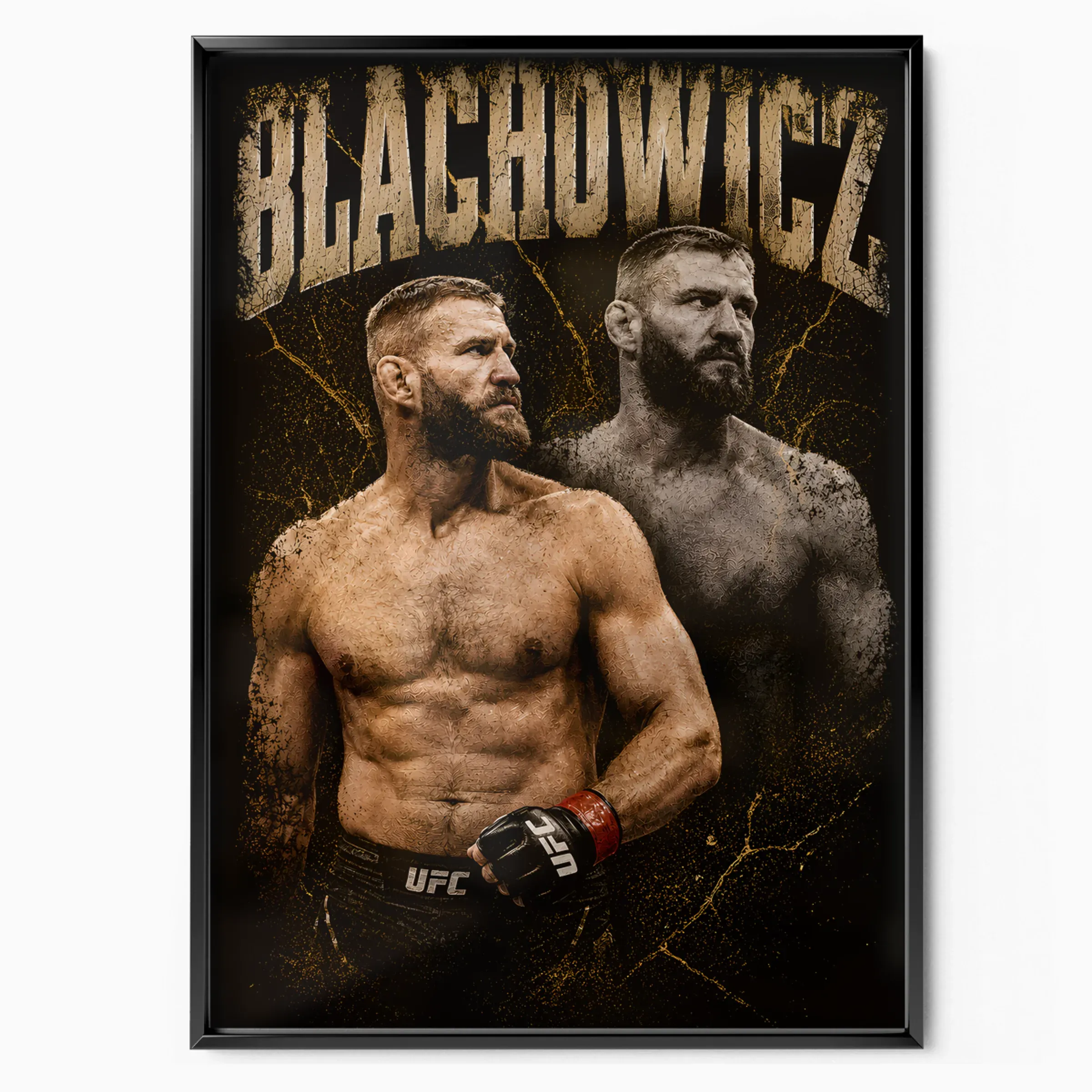 Jan Blachowicz Poster - Prince of Cieszyn poster, museum grade matte print